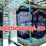 SAngkar Burung