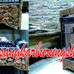 Sangkar Ukir Cungkok