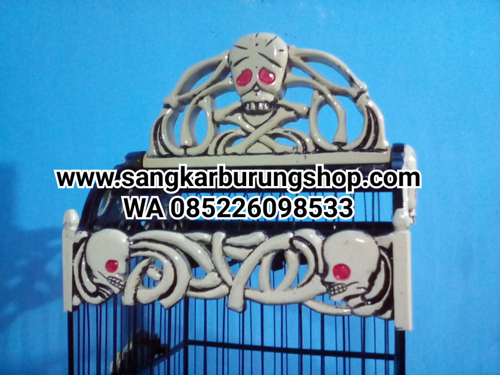 Sangkar Pleci Tengkorak