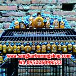 Sangkar Ukir Minuman Jack Daniels