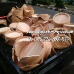 Jual Tebok Love Bird Mentahan