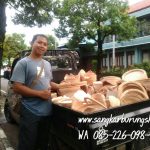 Jual Tebok Love Bird Mentahan