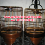 Sangkar Burung Anis Natural