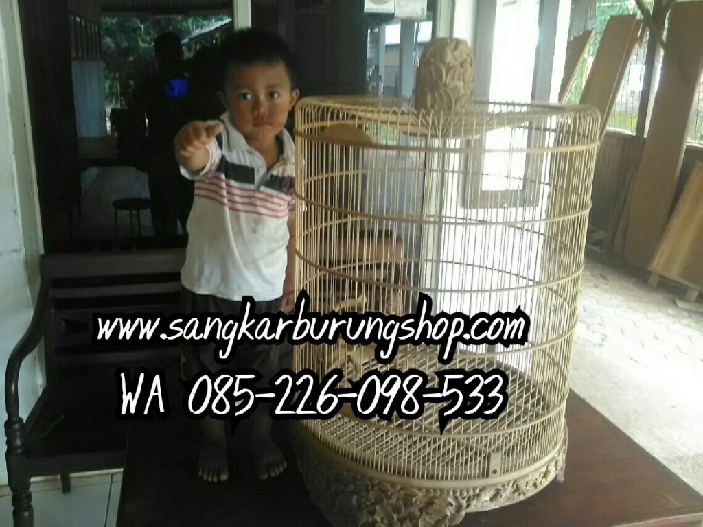 Sangkar Mentahan Murai Ukir Jepara