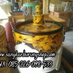 Tebok Lovebird Cincin Kuning
