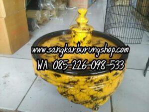 Tebok Lovebird Cincin Kuning