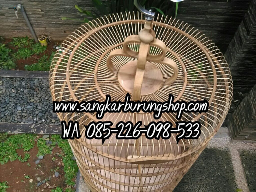 Sangkar Murai Jati Mentah