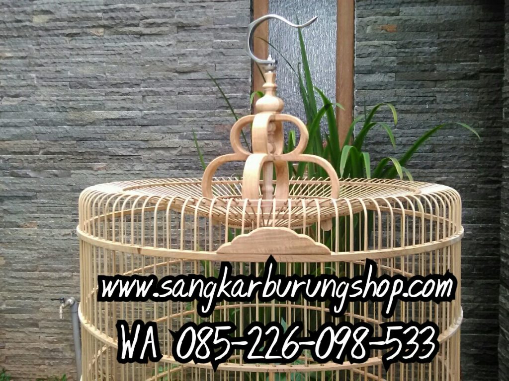 Sangkar Murai Jati Mentah