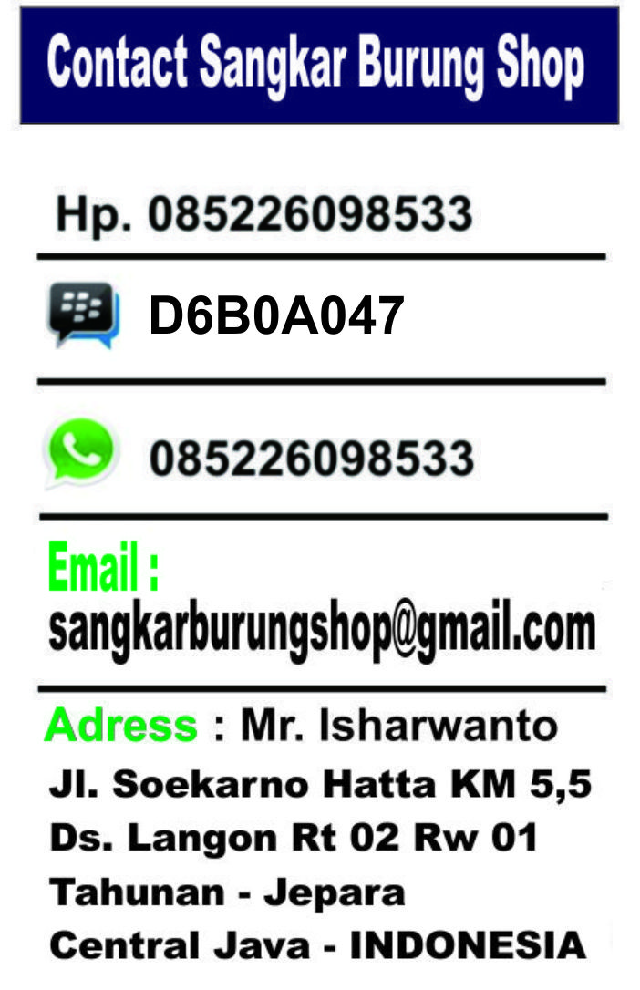 SANGKAR BURUNG SHOP KONTAK