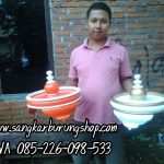 Tebok Lovebird Cincin Jati