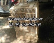 Sangkar Cucak ijo Mentahan
