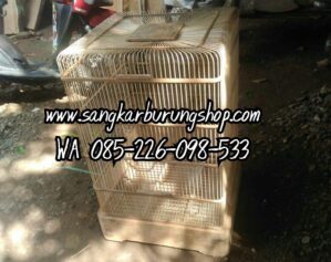 Sangkar Cucak ijo Mentahan