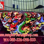 Sangkar Burung Murai Ukir Naga