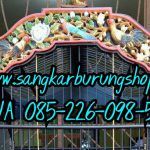 Sangkar Ukir Ayam Jago