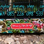 Sangkar Cungkok China