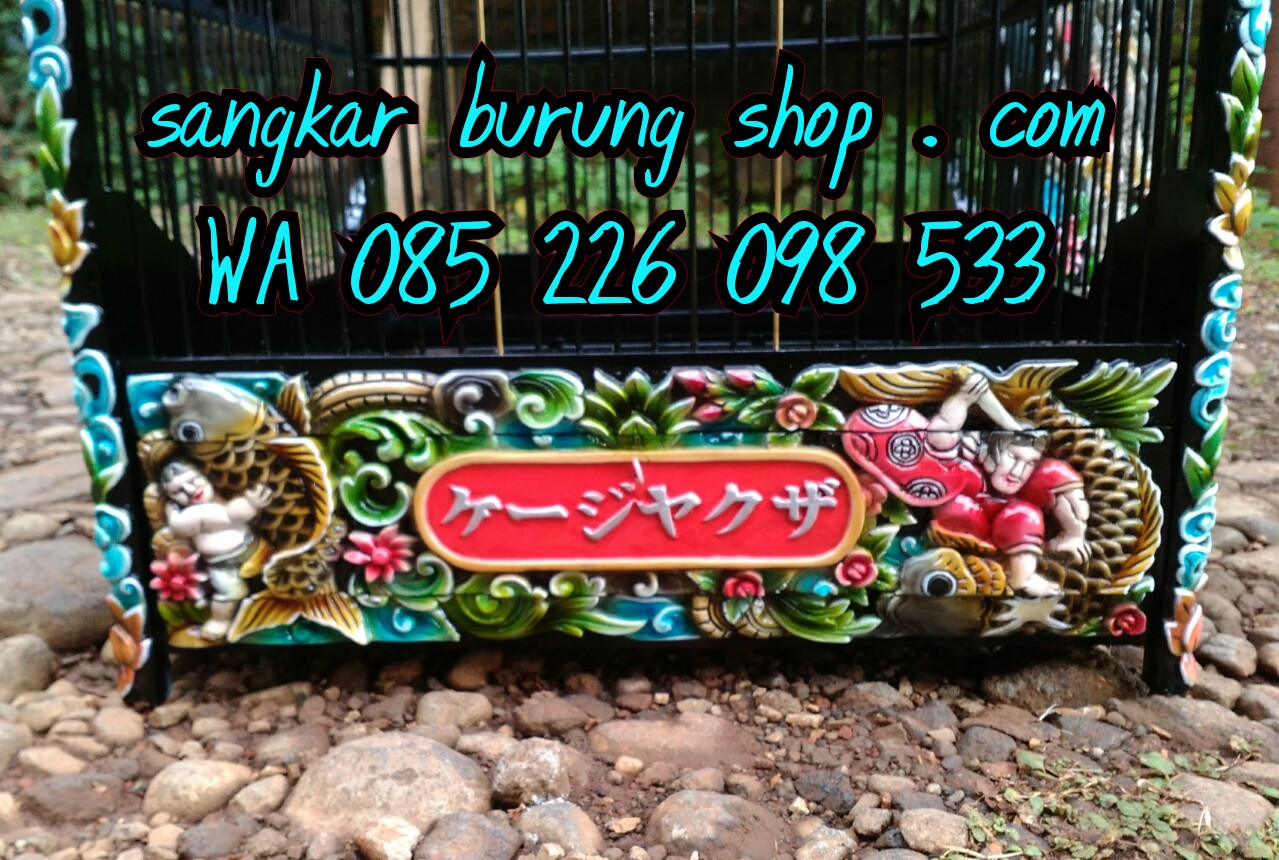 Sangkar Cungkok China