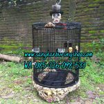 Sangkar Murai Ukir Tengkorak