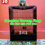 Sangkar Ukir Tanpa Tiang