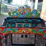 Sangkar Ukir Kacer Terbaru