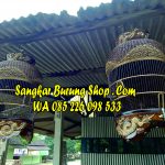 Sangkar Perkutut Ukir Naga Jepara