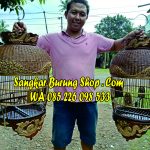 Sangkar Perkutut Ukir Naga Jepara