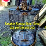 Sangkar Ukir Jati