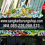 Sangkar Ukir ikan Koi Terbaru