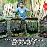 Sangkar Ukir ikan Koi Terbaru