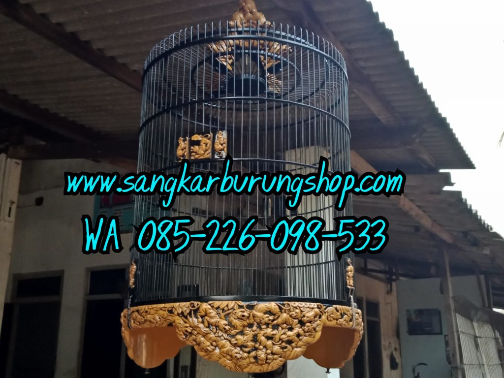 Sangkar Cungkok Murai Batu