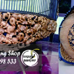 Sangkar Cungkok Murai Batu