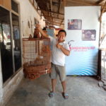 Sangkar Murai Ukir Dewa