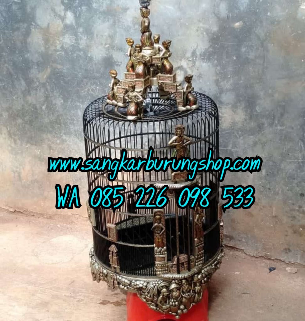 Sangkar Cungkok Anis Merah