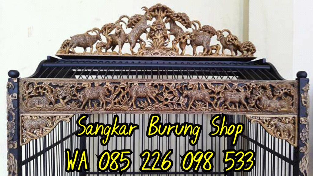Sangkar Cungkok China Asli