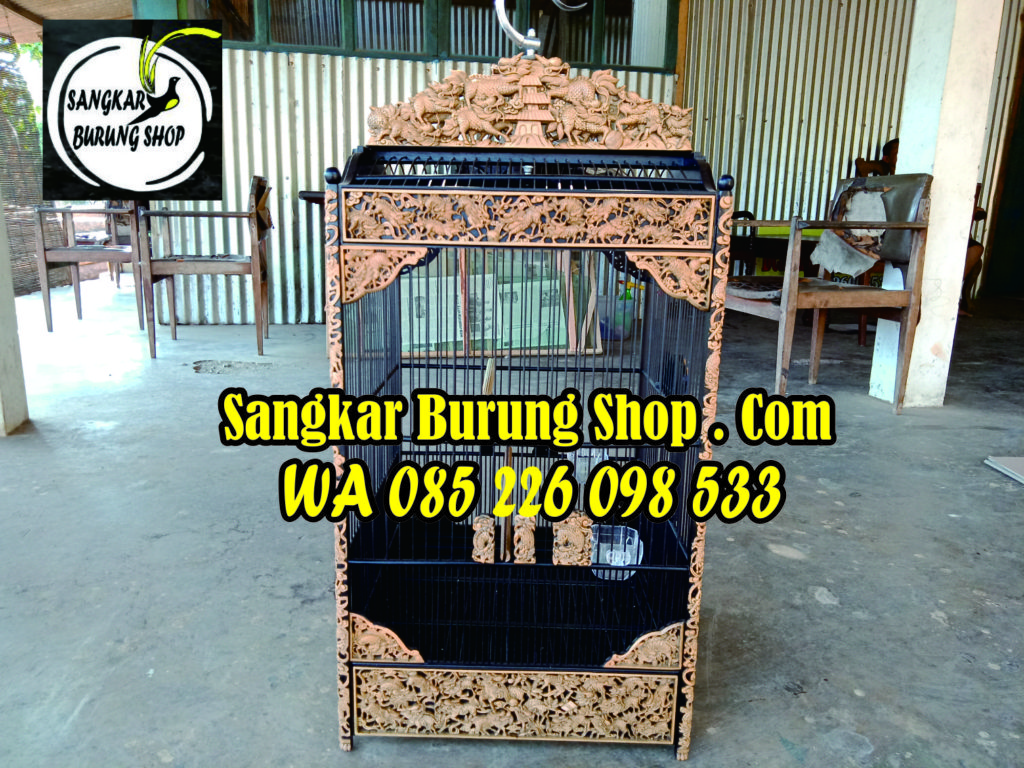 Sangkar Cungkok Kacer