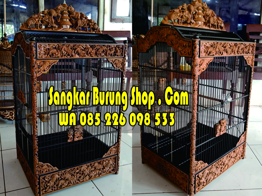 Sangkar Cungkok Kacer