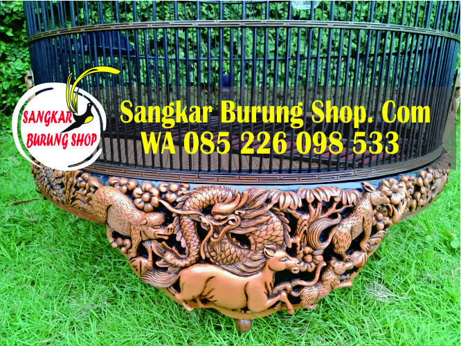 Sangkar Cungkok Kacer Bulat