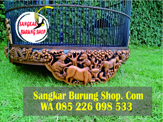 Sangkar Cungkok Kacer Terbaru