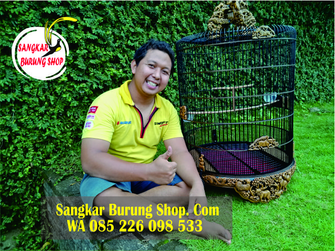 Sangkar Cungkok Kacer