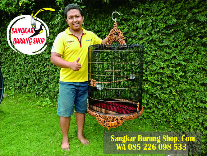 Sangkar Cungkok Murai