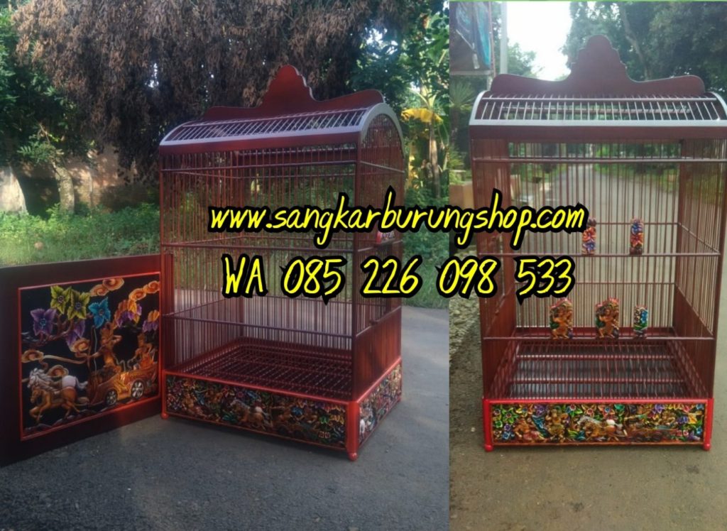 Sangkar Cungkok Kacer