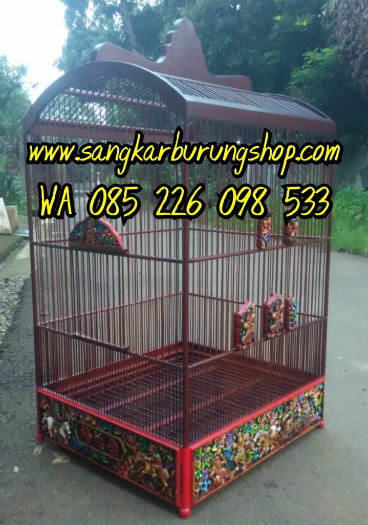 Sangkar Cungkok China
