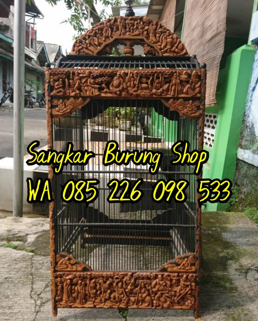 Sangkar Cungkok kacer