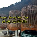 Jual Sangkar Murai Jati