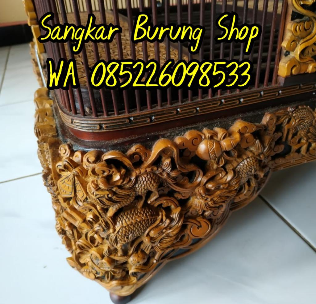 Sangkar Cungkok Anis Merah
