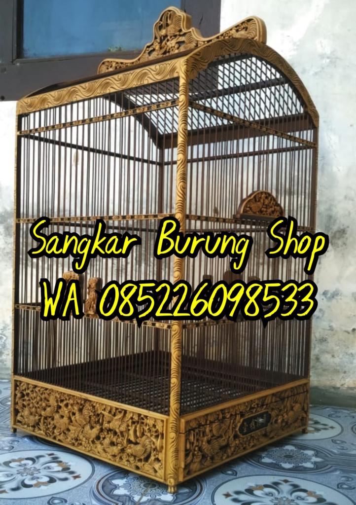 Sangkar Cungkok Kacer