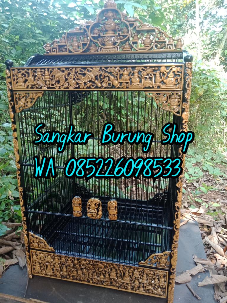 Sangkar Cungkok Kacer