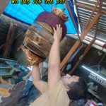 sangkar perkutut mahkota super