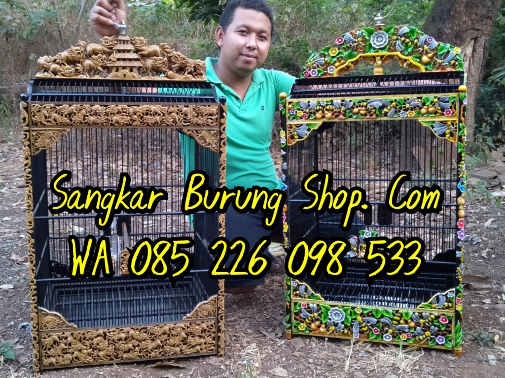 Sangkar Cungkok Kacer