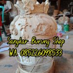 Sangkar perkutut mahkota terbaru