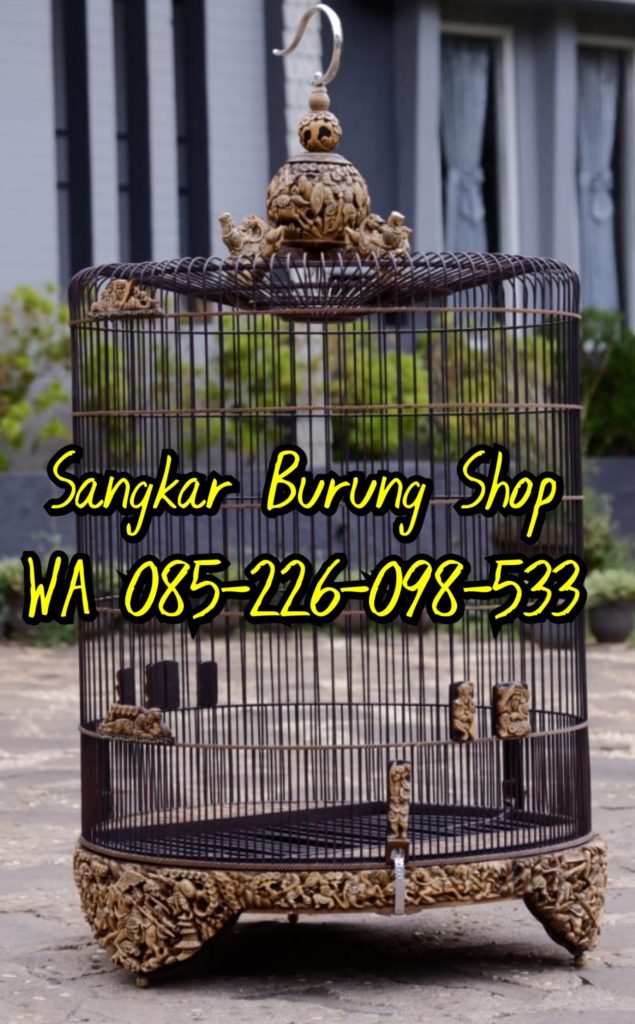 Sangkar Cungkok Murai Terbaru